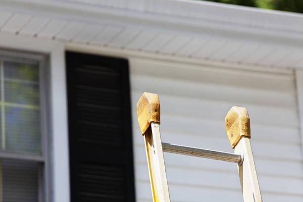 Best Siding Replacement  in Nashville, GA